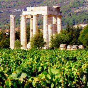 nemea wine tour (full day)